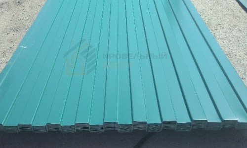 Профлист С8-0.65 ПЭ RAL 6005