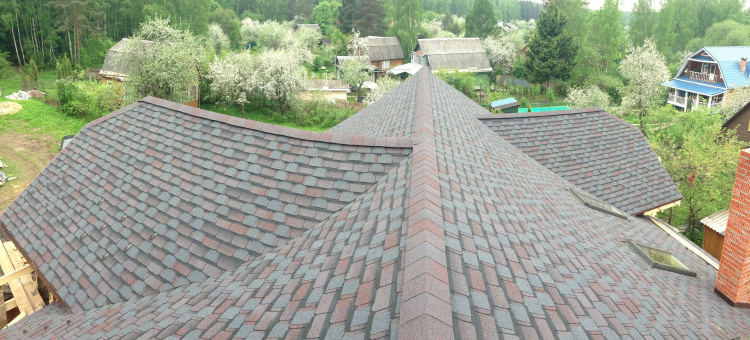 ШИНГЛАС КОНТИНЕНТ (азия)